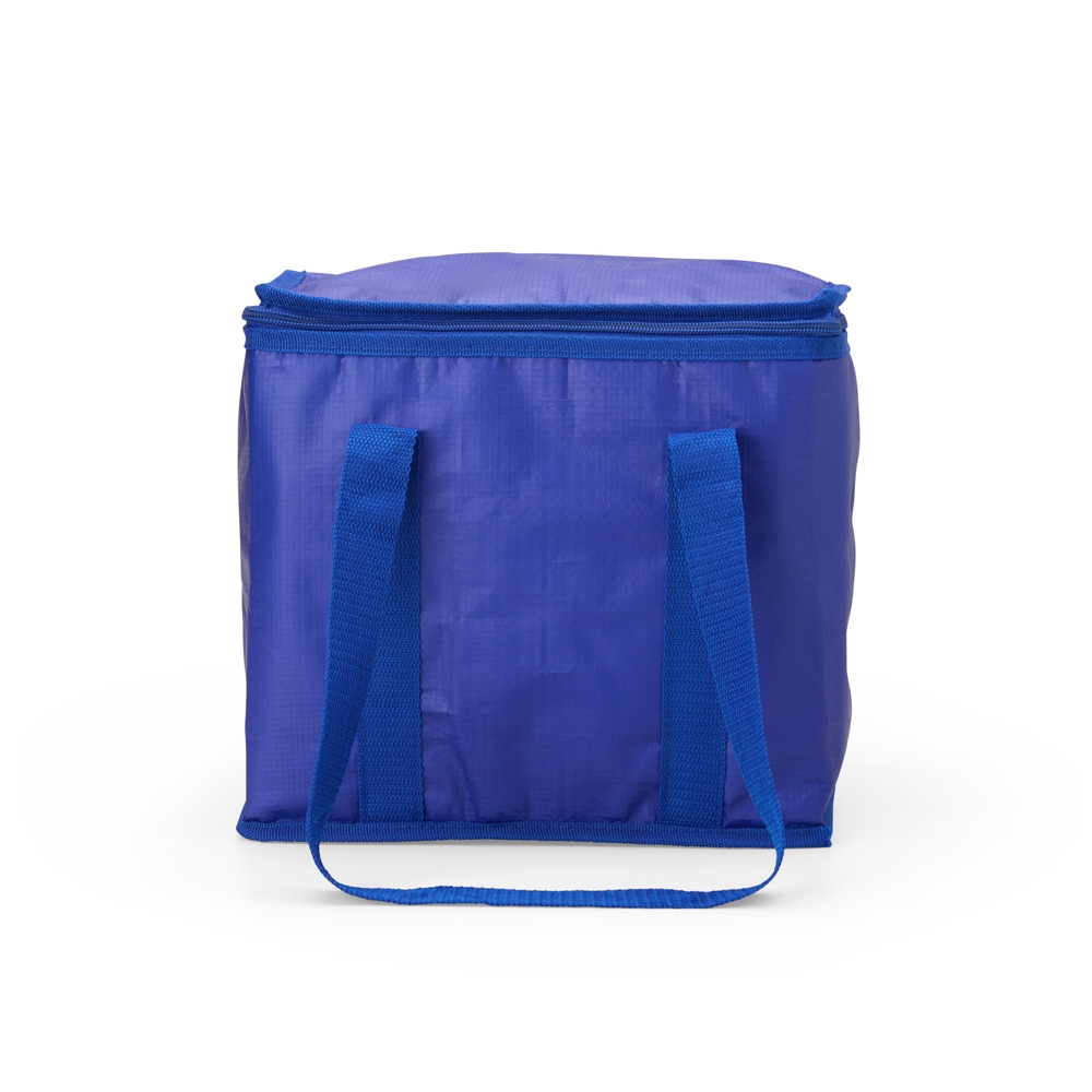 Bolsa Termica 12 Litros