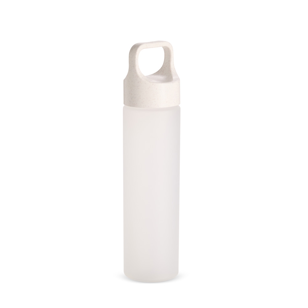 Garrafa Plastica 650ml
